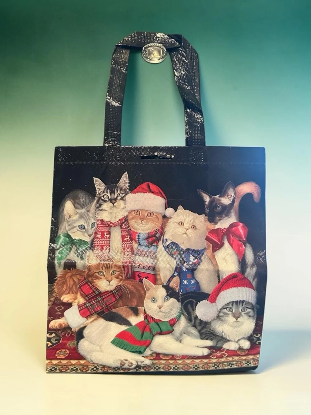 Patty Reed Winterland Pets 